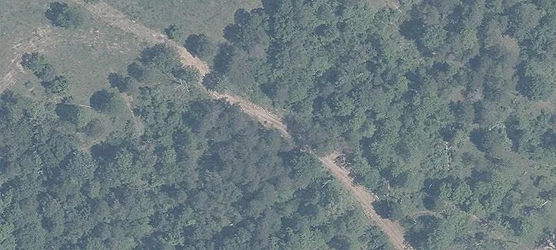 Ramblewood Dr