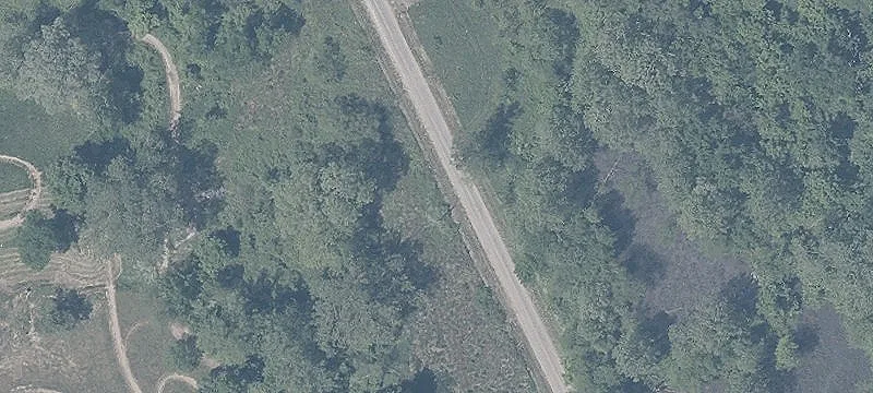 Payne Rd