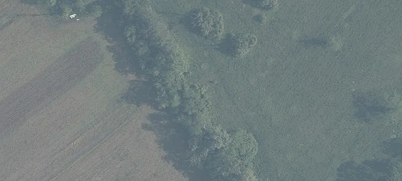 Monroe St