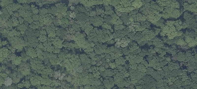 Morganrun Rd