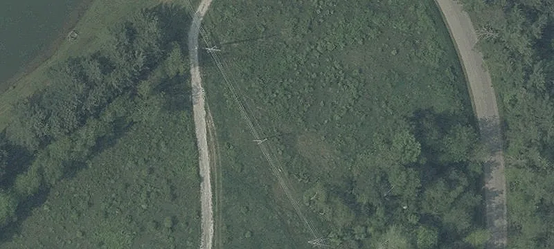 Tr 223