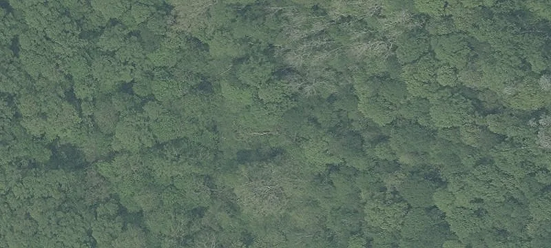 Rocky Frk Rd