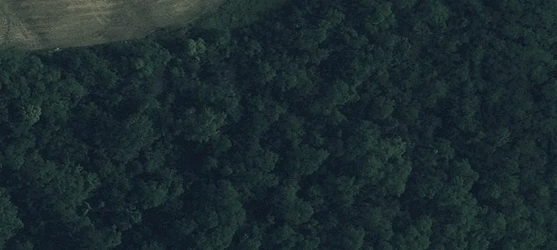 T R 55