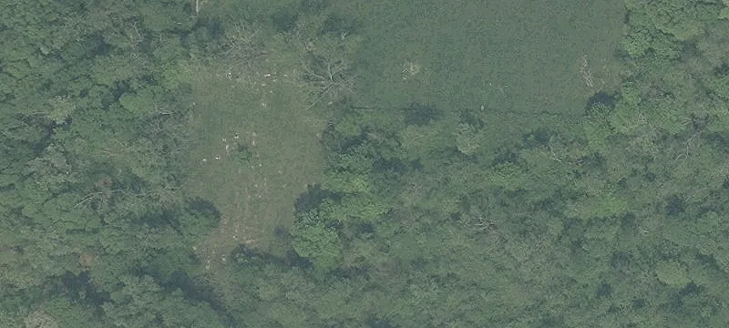 Peoli Rd