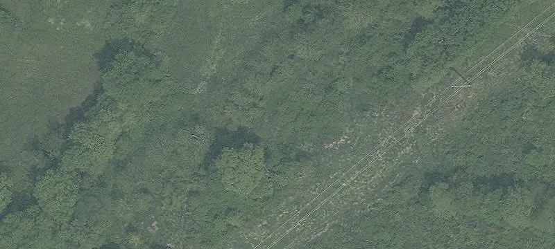 Wintergreen Rd
