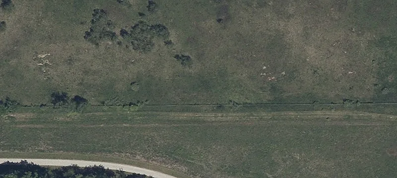 State Hwy 231