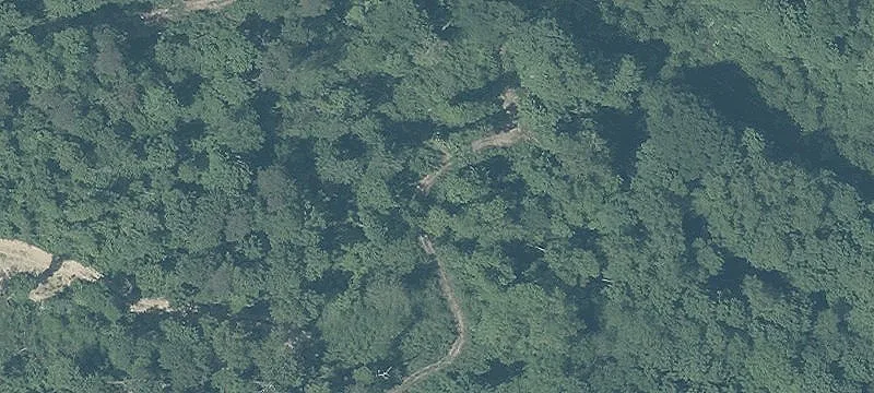 Lunsford Rd