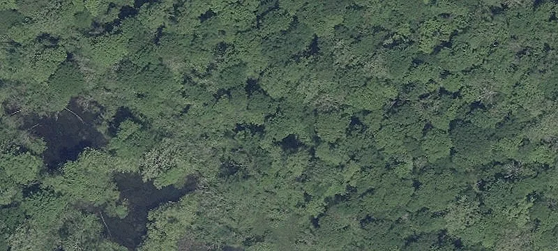 Shannon Run Rd