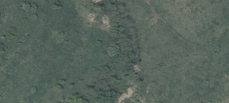 Tr 263