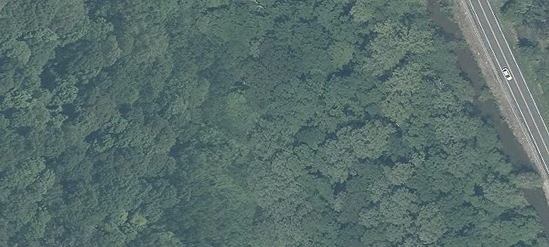 R 233