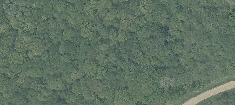 Rocky Frk Rd