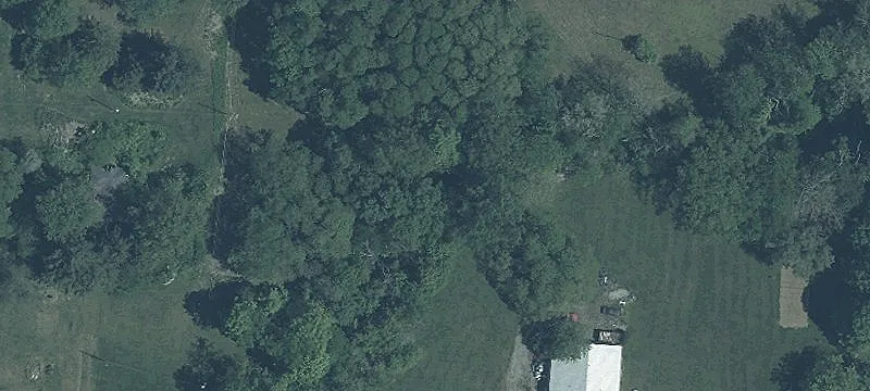 2955 Us Hwy 50