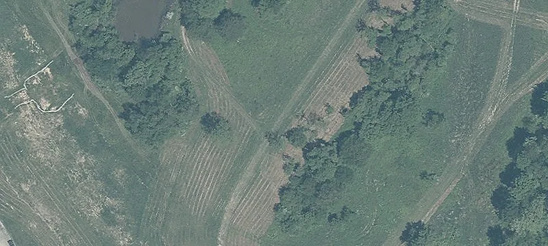 Clary Rd