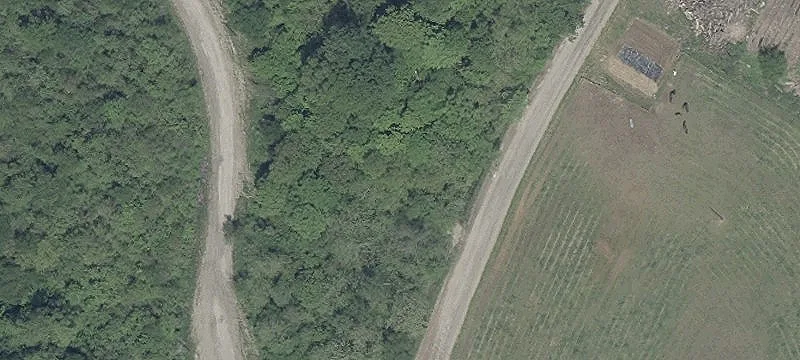 Shannon Run Rd