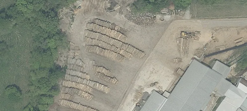 19 Cr