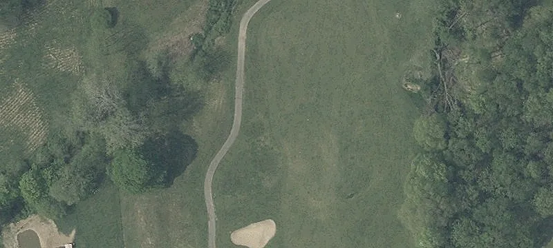 Tr 315