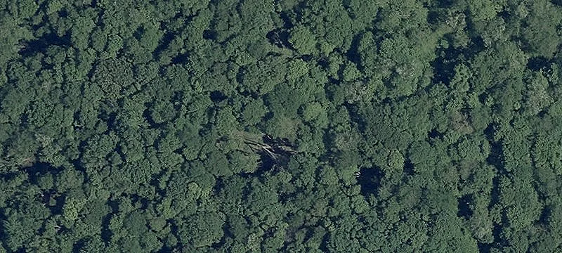 Tr 13