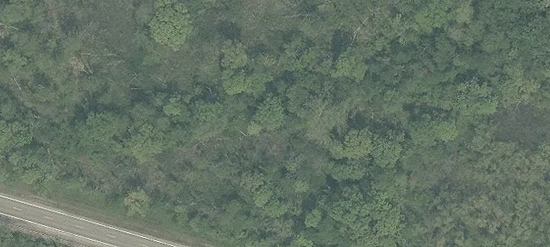 Leatherwood Rd