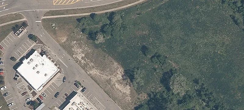 Singletary Dr