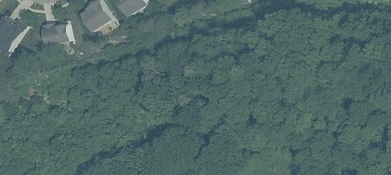 Grandin Rd