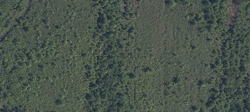 Rear Land Land