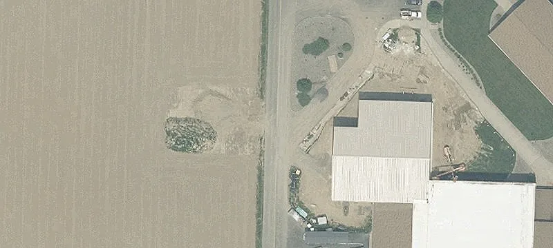 Tiger Dr