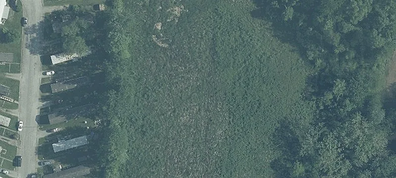 Race