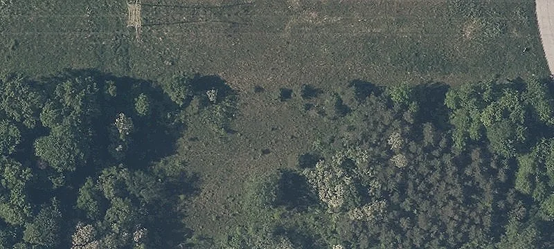 Dutton Dr