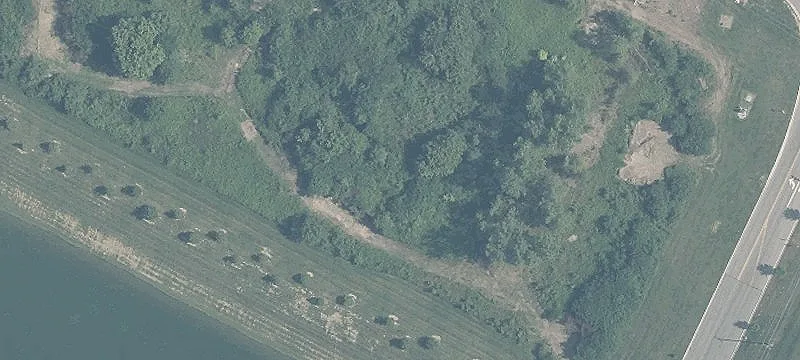 Walker Way
