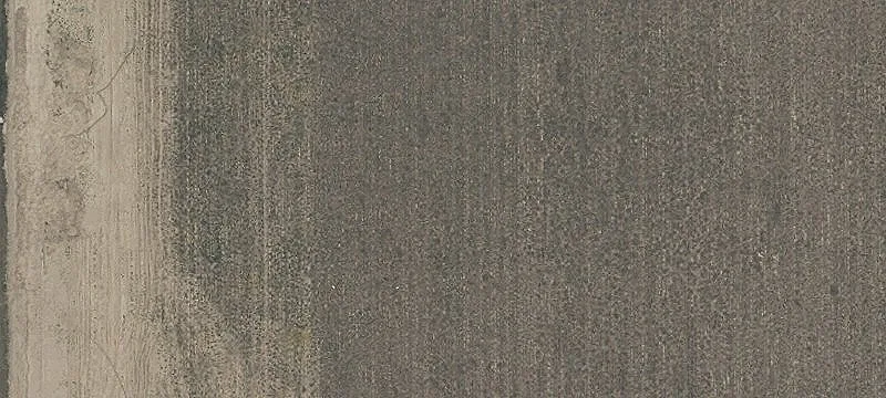 Oregon Rd