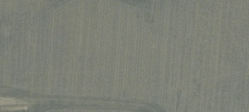 Domigan Rd