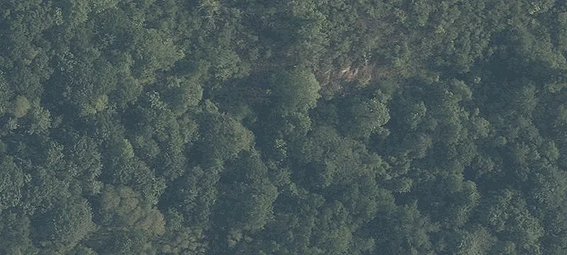 7370 Rdg Rd