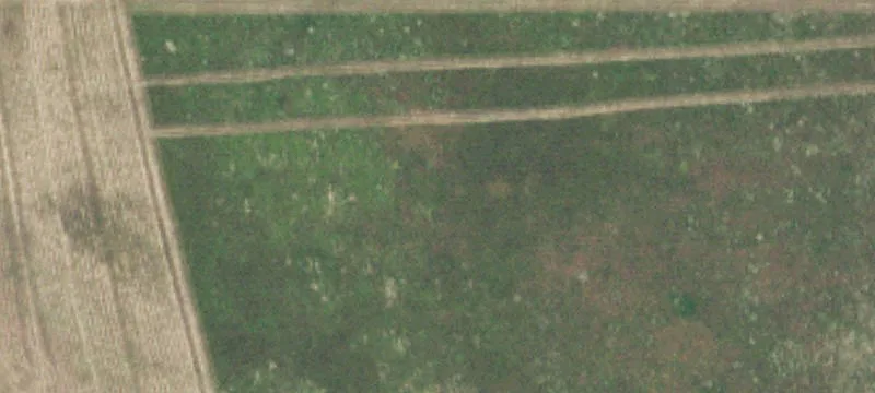 Hwy 66