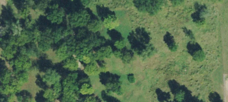 5000 Fern Mtn Rd