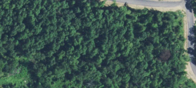 Cabins Of Carter Mtn