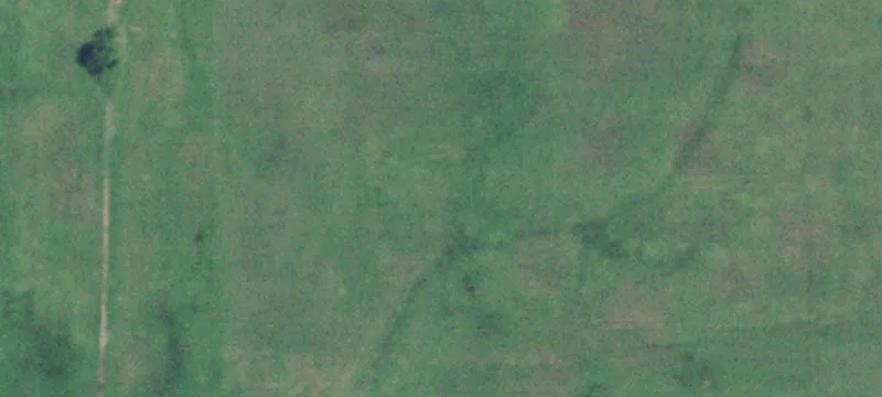 13990808s24e1012