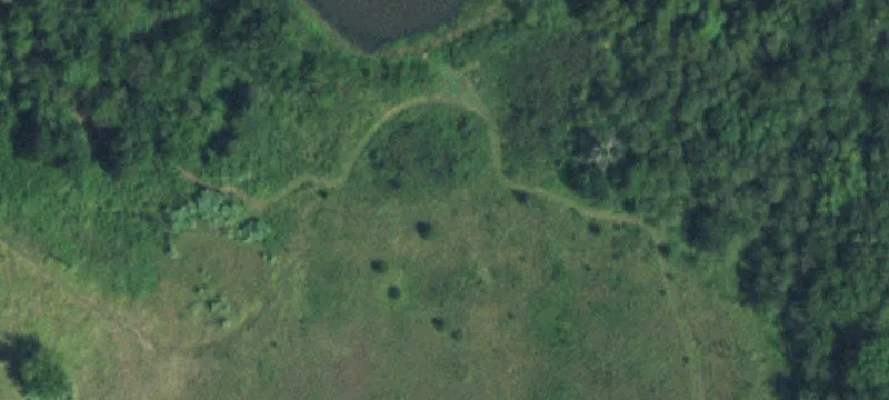 27907 State Hwy 51
