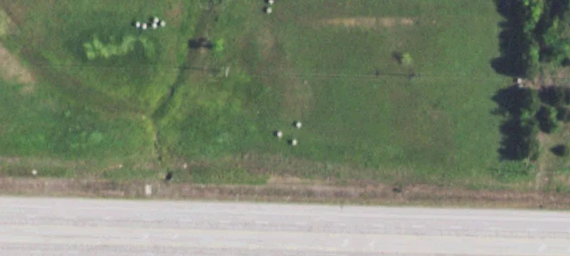 1960 Hwy 70th E