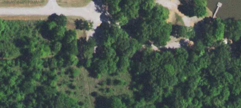 11164 Lone Oak Ln
