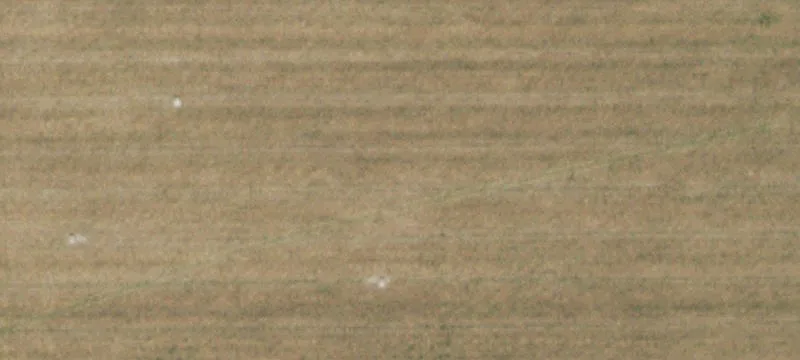 Ringling, OK 73456