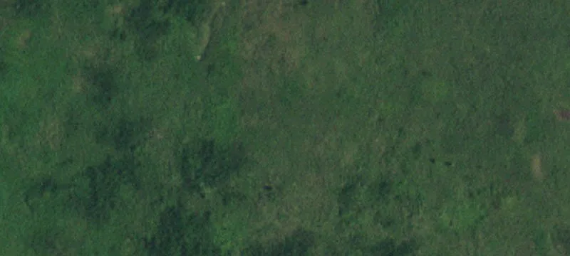 398634 3600th Rd