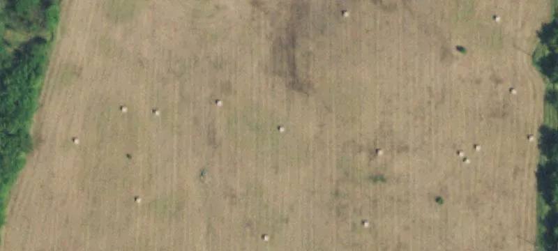 7989 320th Rd