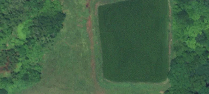 Purcell, OK 73080
