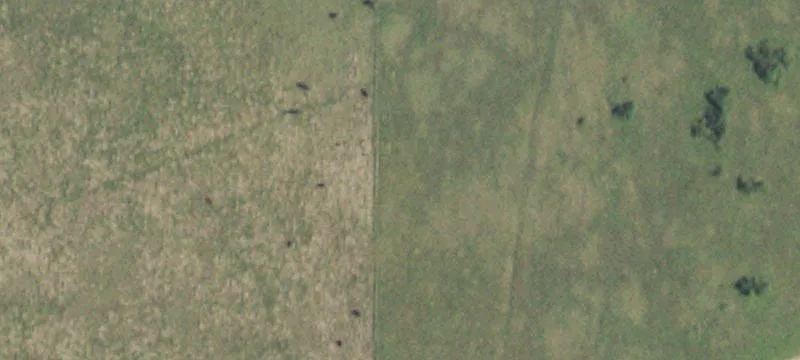 Madill, OK 73446