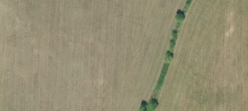 31236 Hwy 69