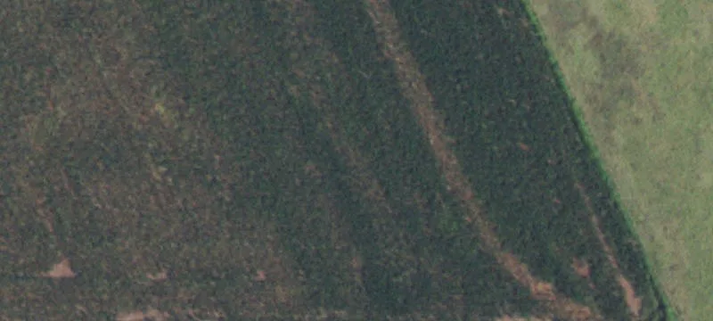 Gracemont, OK 73042