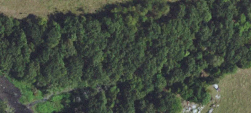 5103 Hwy 75
