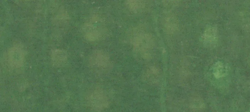 Sallisaw, OK 74955