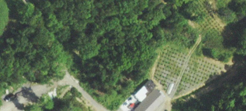 33874 Hwy 82