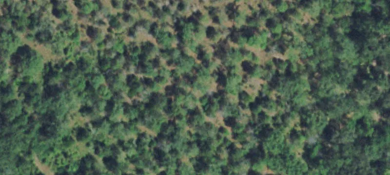 Gans, OK 74936